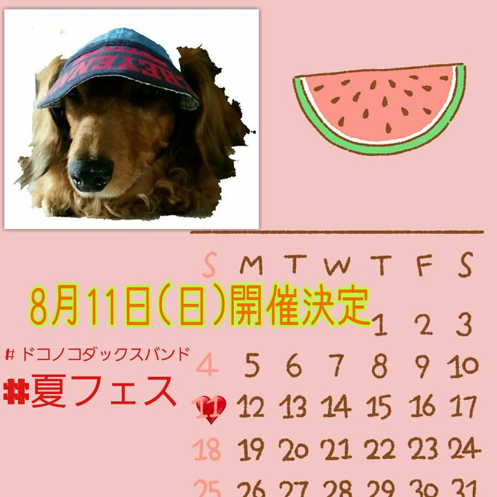 Fd2db5b7 81d0 4bb5 9115 49029bfb819a 1564825330627