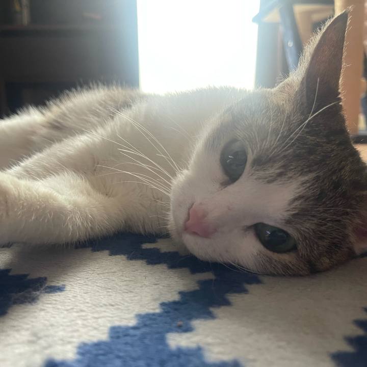 Fd2de56a 37a6 4f95 b043 5c651ca5db73 1625359309317