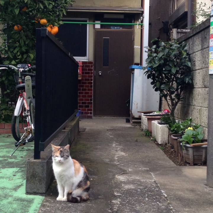 Fd2df5c5 6b30 45ea aa78 3ec95cf942cf 1510736685339