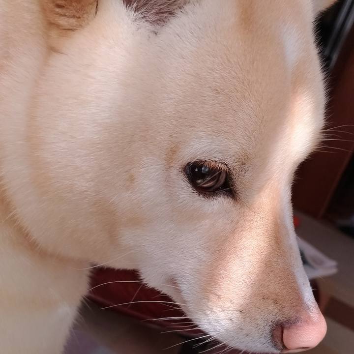 Fd2e0c1e adeb 4580 bec7 79ae45b47b0a 1554510174436