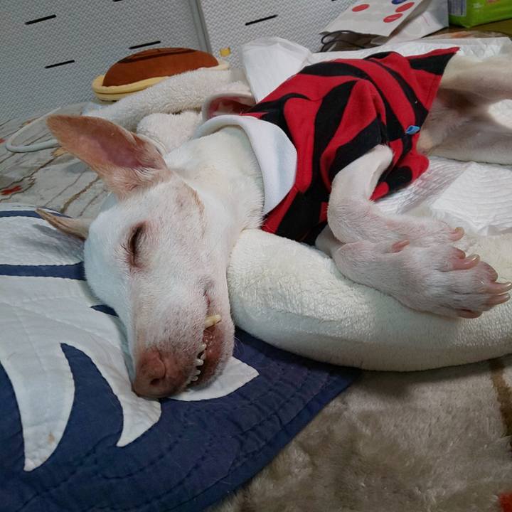 Fd2e1744 d9a1 4b2c a17d 7cc9616732f1 1605787964325