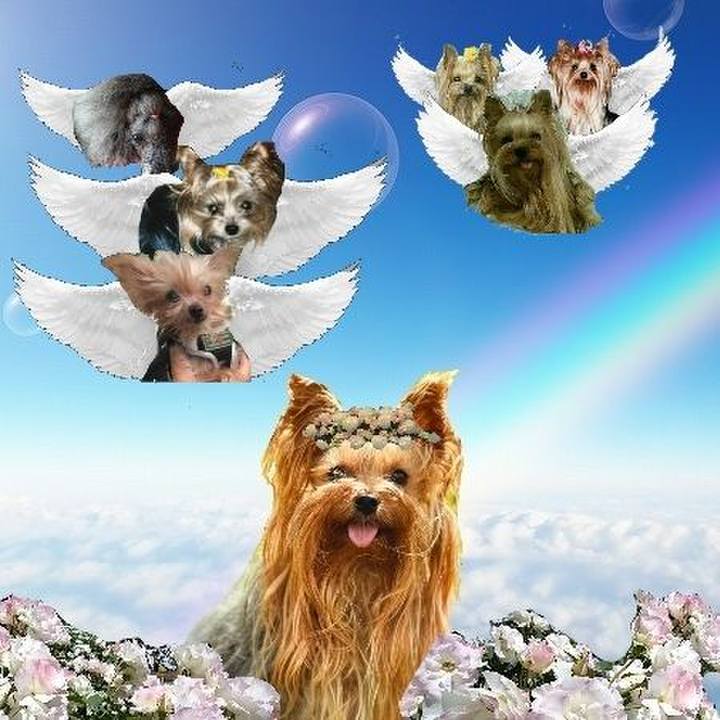 Fd2e3e23 d31a 48a6 85e4 8dab1ab6dcbc 1685670192543