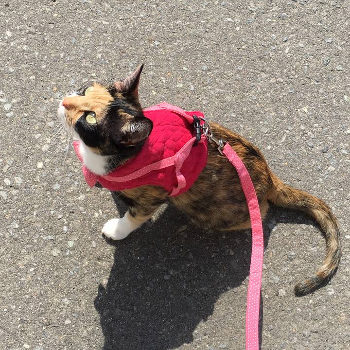 Fd2e7d8d a817 44fc 9a77 9c06b7bd8097 1522807580209