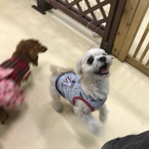 Fd2e7edf 4c3d 4bf4 aa3f d99852c884e2 1515756826515