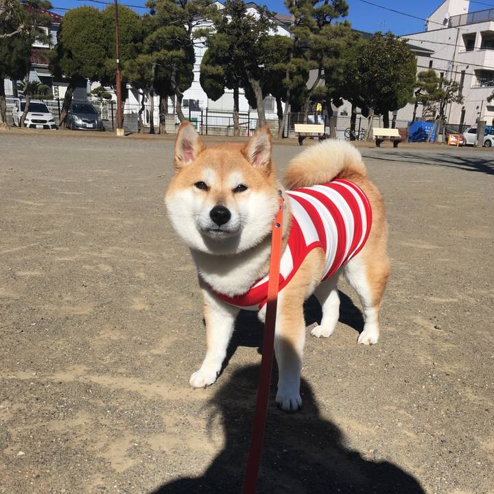 Fd2eb40b b556 4c3a 8b97 bef32cab44d0 1548045566029