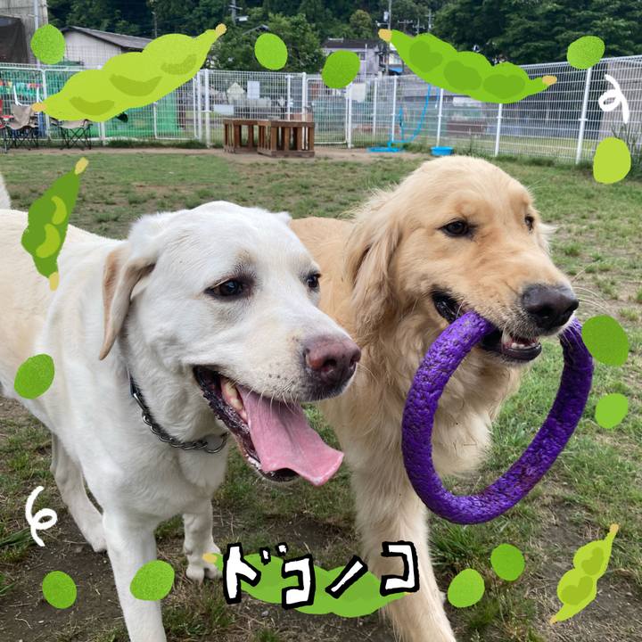 Fd2edf09 e0f7 408a b852 d1bae308e462 1720752749407