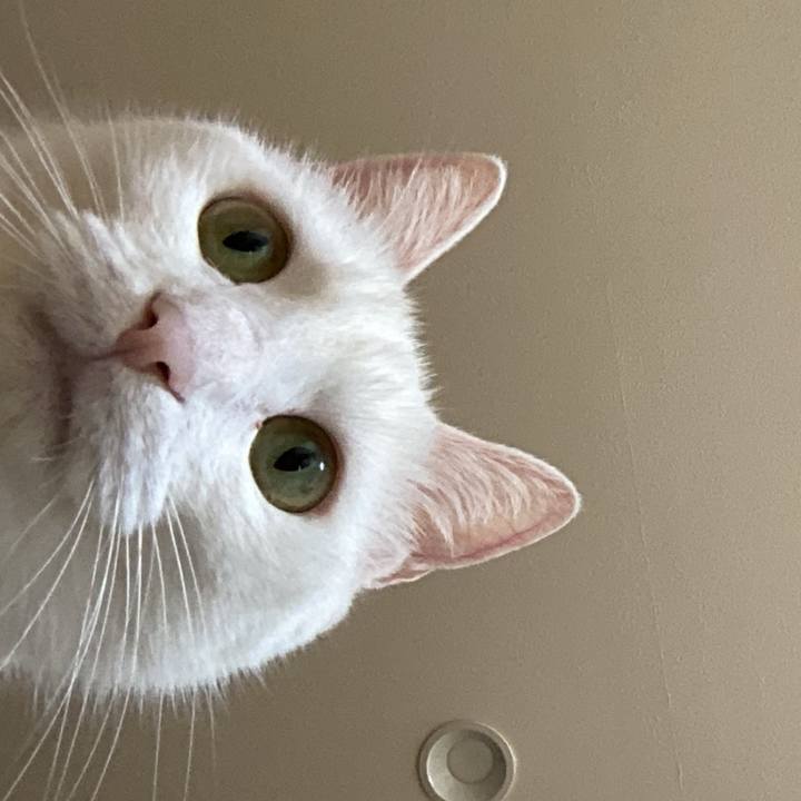 Fd2f1896 965e 4a23 88e7 7bbc4e569a83 1662069296068