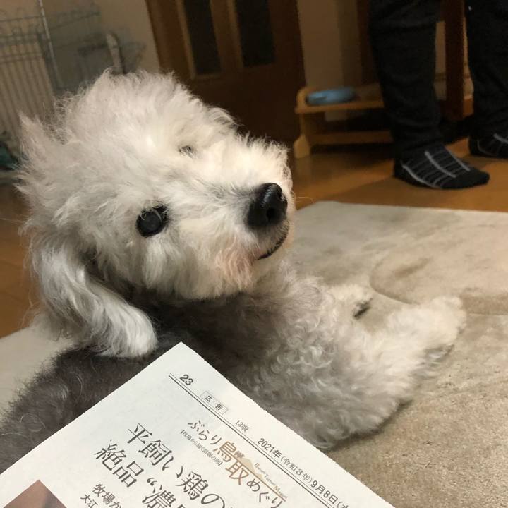 Fd2f1a2a b189 46f2 93ab 0e7e7dbe62ec 1631106345613