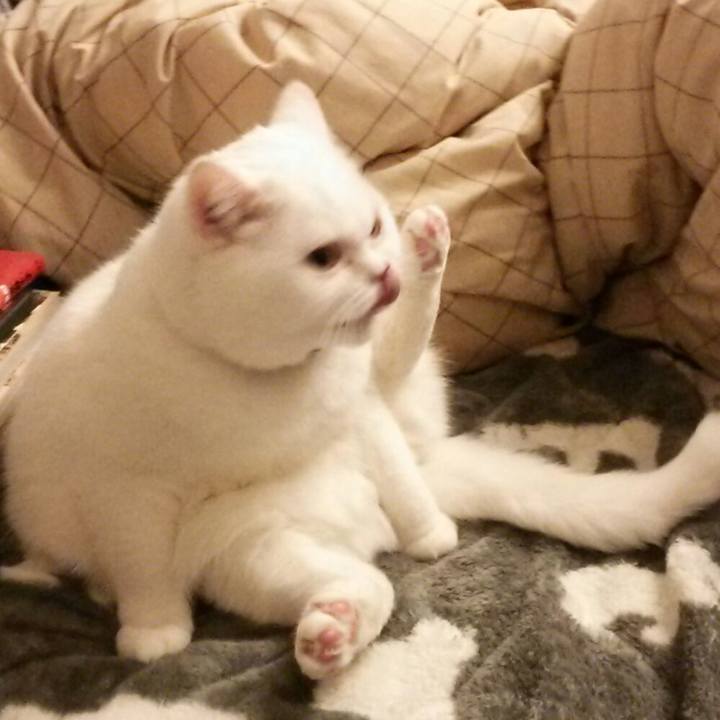 Fd2f212c 37b9 41bd ab62 602ecd00ef7c 1518131349946