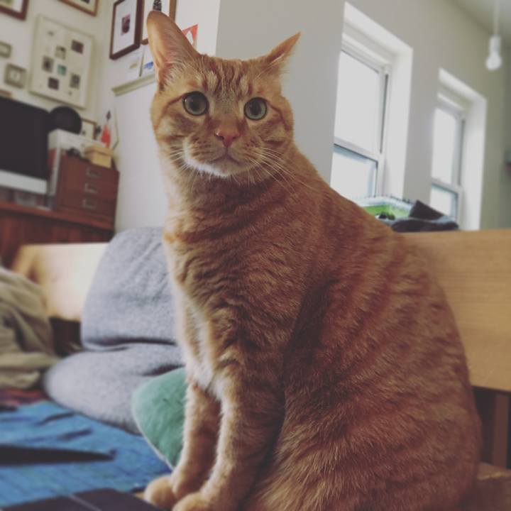 Fd2f2e1c 68b5 4a46 9bb9 5d653da75c71 1586861737020