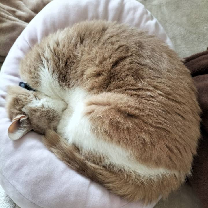 Fd2f3a37 760f 41bc b9b0 fac2296ffefe 1644109839035