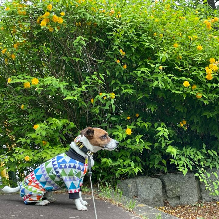 Fd2f6772 86c2 4216 84b5 735fdd3ad24f 1652085217051