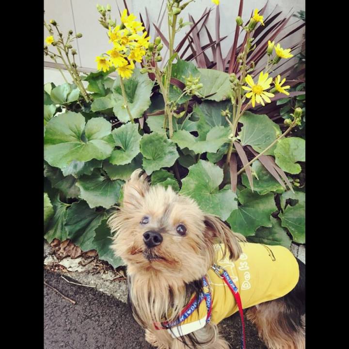 Fd2f6d75 10f6 4a2d 8606 07fc9ecd08b0 1511045558829