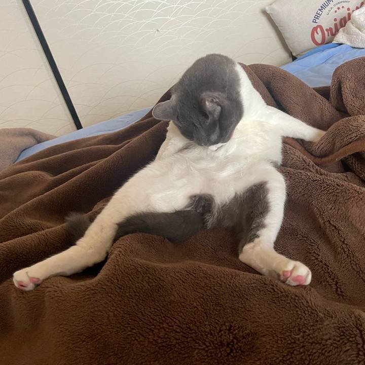 Fd2f9b00 0e5c 4075 83ca bd148af74e85 1665285907238