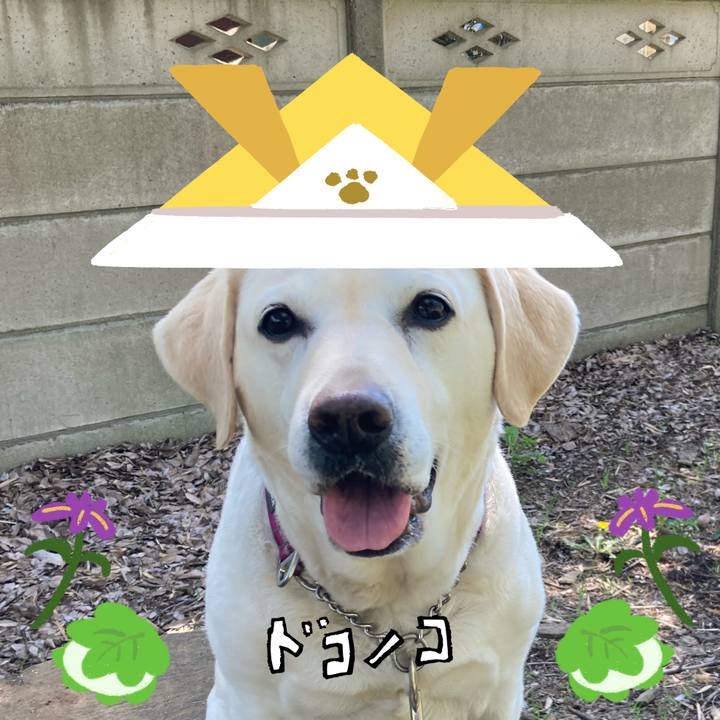 Fd2f9e0a 4d39 48c0 9385 f55caf1fe3d3 1714895458076