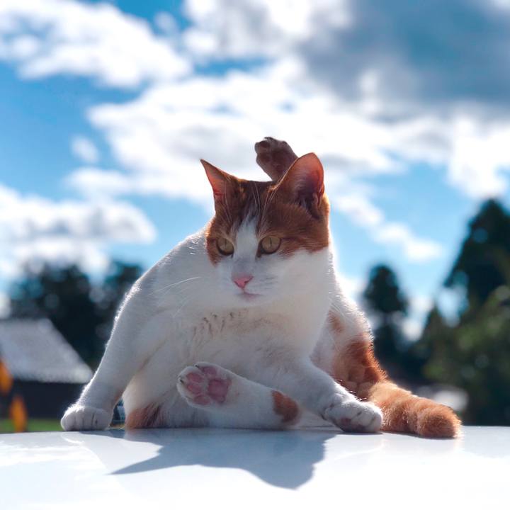 Fd2fcac0 46fe 48ce b351 dd070e555784 1572843491663