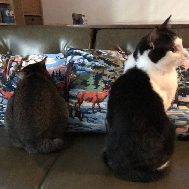 Fd2fd6bb 3c42 4d93 b1e8 70134098e636 1515227290669