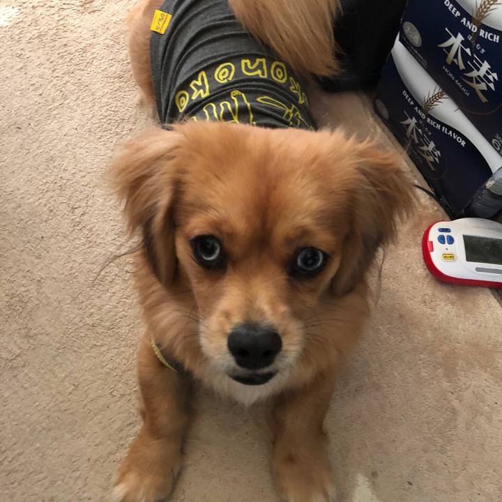 Fd2fdeb9 1a45 46d3 80a8 1d3fd3071e1a 1512865057005