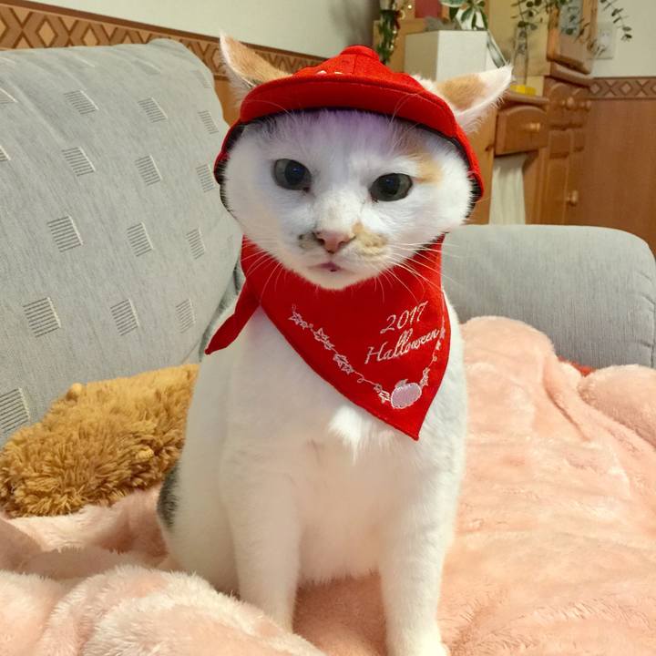 Fd2ff869 2cc5 4b9e bdb1 c2a3e4ca33a2 1514531256023