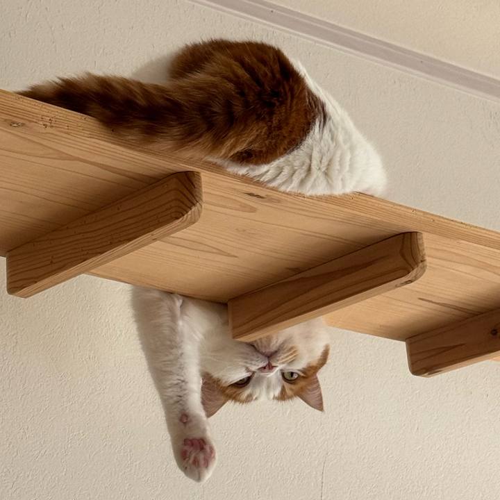 Fd2ffc08 da3b 4ca2 b31f 2962bc6578a4 1774611189191