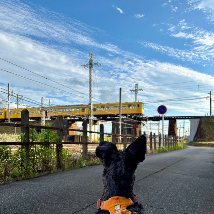 Fd2fffe6 8434 4252 a9da cfd78fc95d42 1748989248541