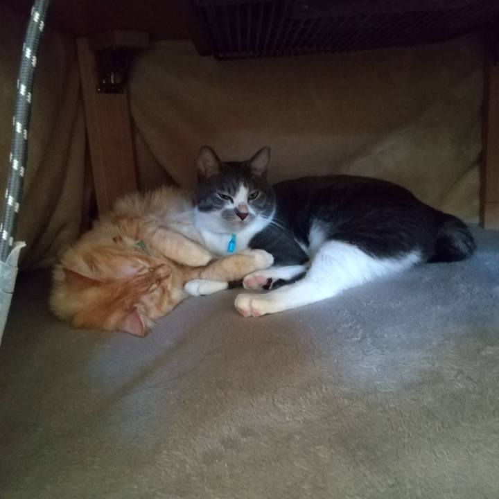 Fd3044ea 256c 4674 a31c 3b26c9f32ced 1637387744075