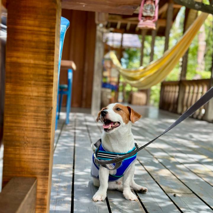 Fd307f46 5470 4f80 8f7c 8183357b16ce 1692952550306