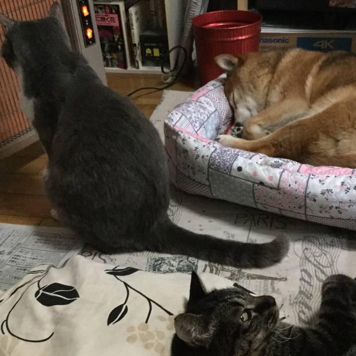 Fd3099eb ef1b 41e0 a035 24b58367eff1 1622098143862