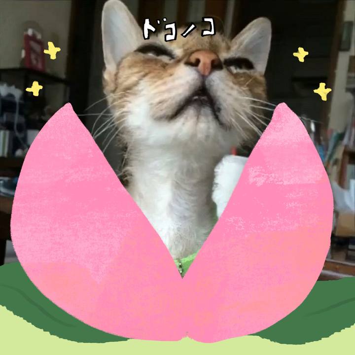 Fd30a277 0394 42ee ac80 3ab87c6a43f7 1772073291811