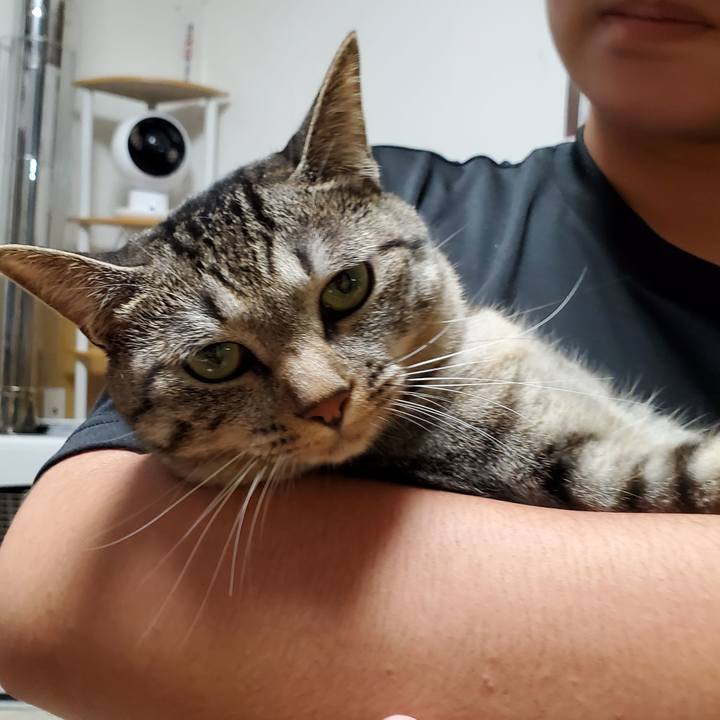 Fd30c505 95f1 4d99 a087 7ed5b063a86e 1695822835680