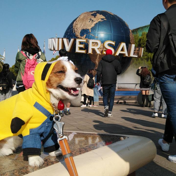 Fd3125fb 397c 4f3f 9aa9 92ec736310bb 1520815414452