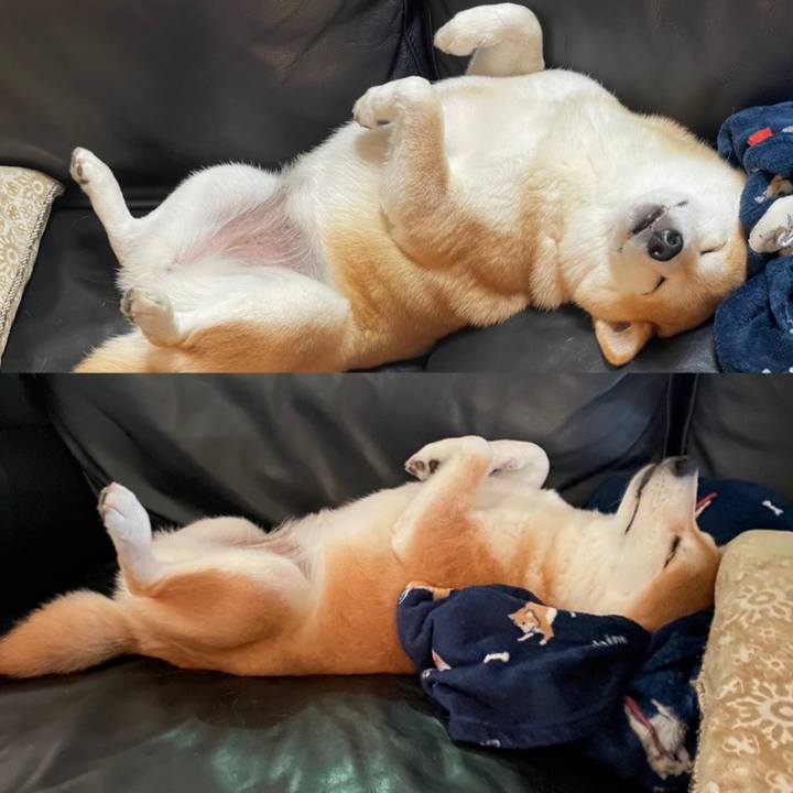 Fd312da9 4b4d 49bf b789 994d3ea7e27a 1658324853850