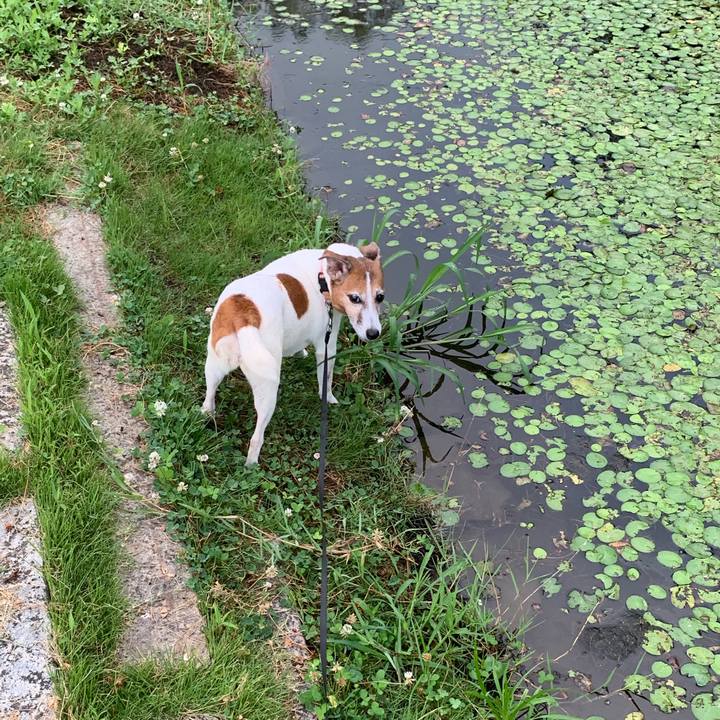 Fd313bb2 322e 4b4c a96a 2f1cedfa365c 1565560004772