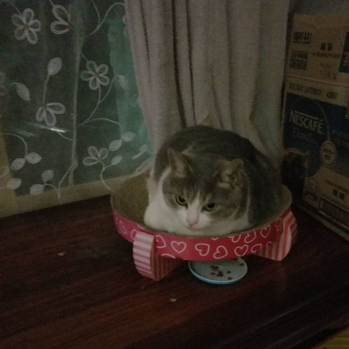 Fd315559 88d4 4c90 a889 36f3b7fa278e 1652015371748