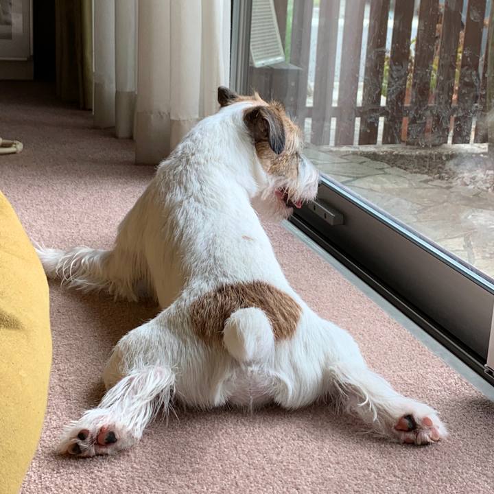 Fd315f7f 1fbc 494c 93d7 0f9b23f87483 1600231829592