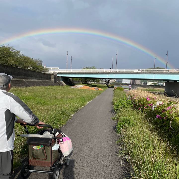 Fd316538 fbc2 46a1 b4ab ad3513de8c33 1681669498245