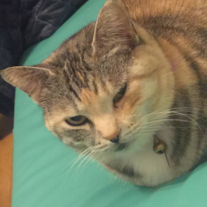 Fd31891e 5b35 4f48 a879 b6255502b28b 1557843845502