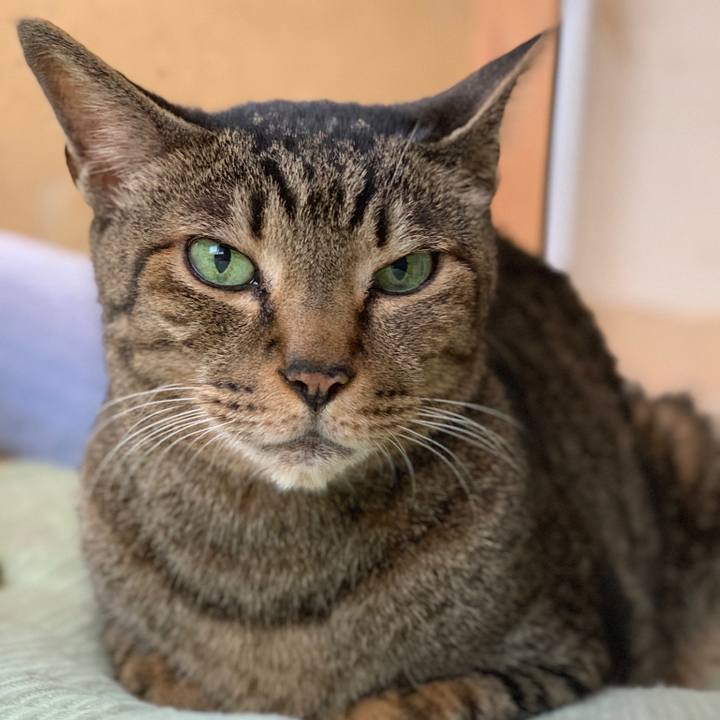 Fd318a42 3d16 475c 8b4d a05b96144050 1559524627980