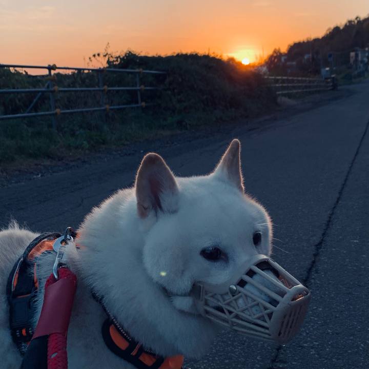 Fd31a287 3aed 4376 96b0 89e0957a0397 1666302263836