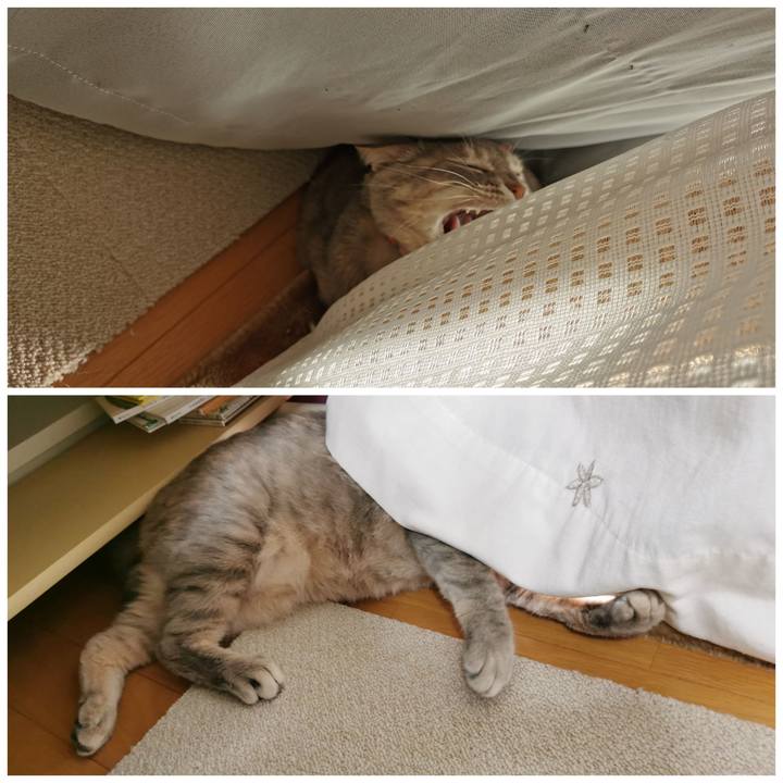 Fd31c8d8 54a2 4395 91e7 42a7771c8a16 1620722188420