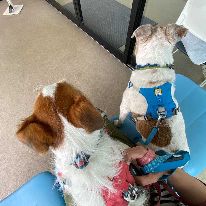 Fd31dfff d98d 401a 94d7 68ff6ee8b4f6 1688776446354