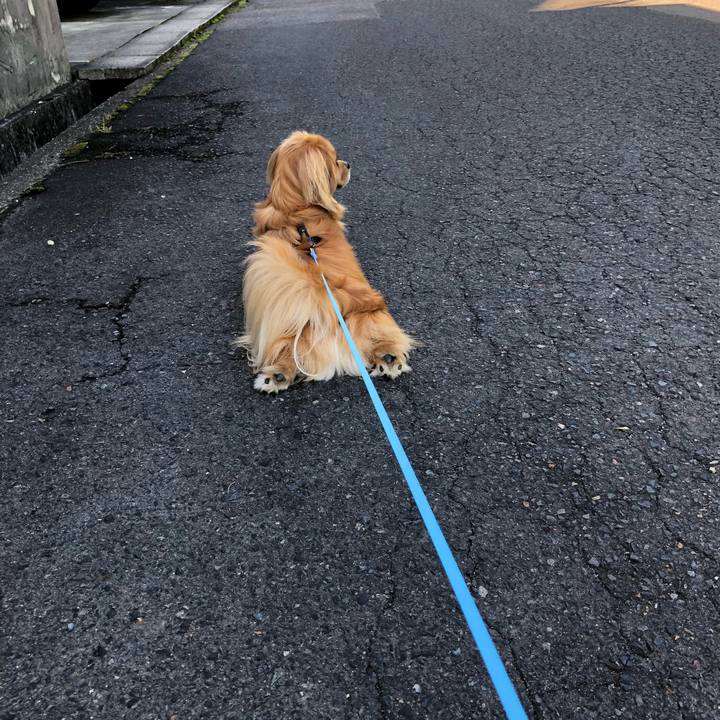 Fd31f689 d000 4871 a052 1d9eb7c37dbe 1529100601749