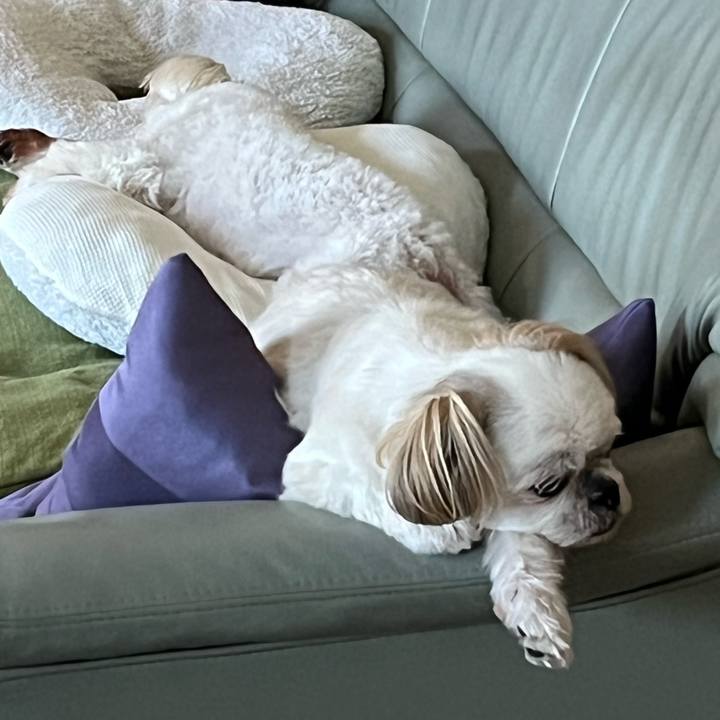 Fd31f7e1 a3d7 441b 82ac 9368ca642911 1660818133169