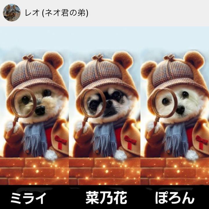 Fd32542d 7887 48d2 ac59 5415a59dc3bd 1707871818184