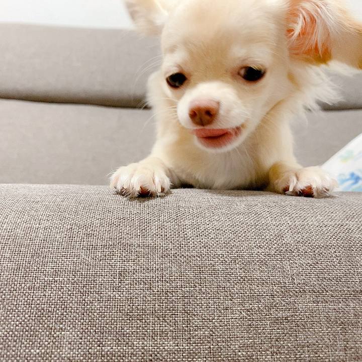 Fd3258c8 c53f 45e0 8a76 14f3a64e0472 1597321034573