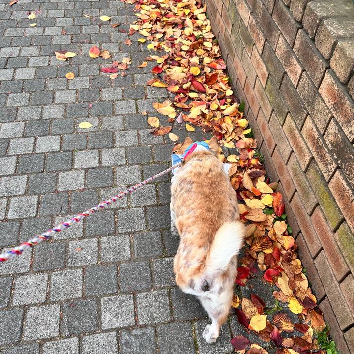 Fd32806b 6975 4ed0 9e9f fcd79b957664 1763866224407