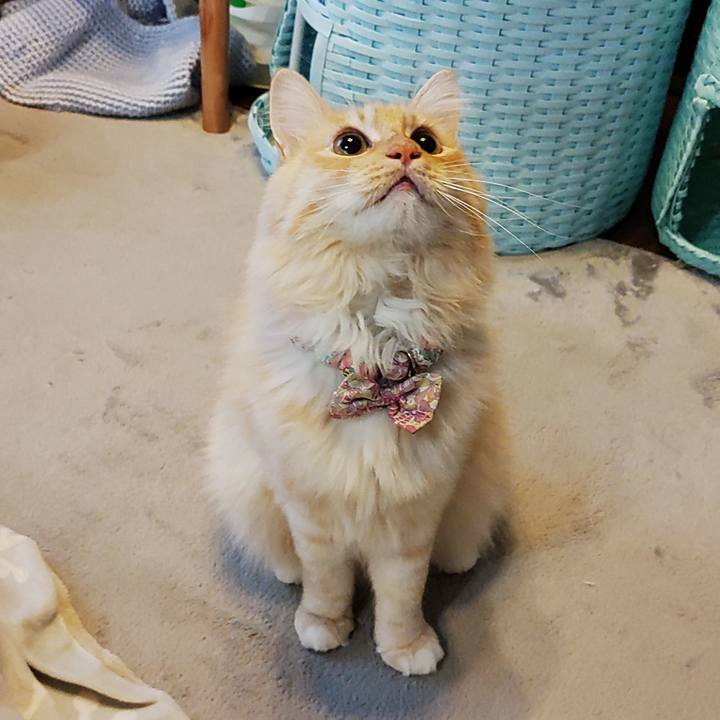 Fd328dd8 b084 4f10 a675 825d9c9cebe7 1667516488306