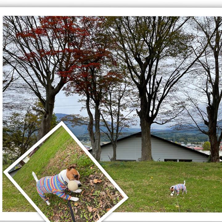 Fd329013 c3ad 4f52 9368 331d575c2cd8 1635145811722