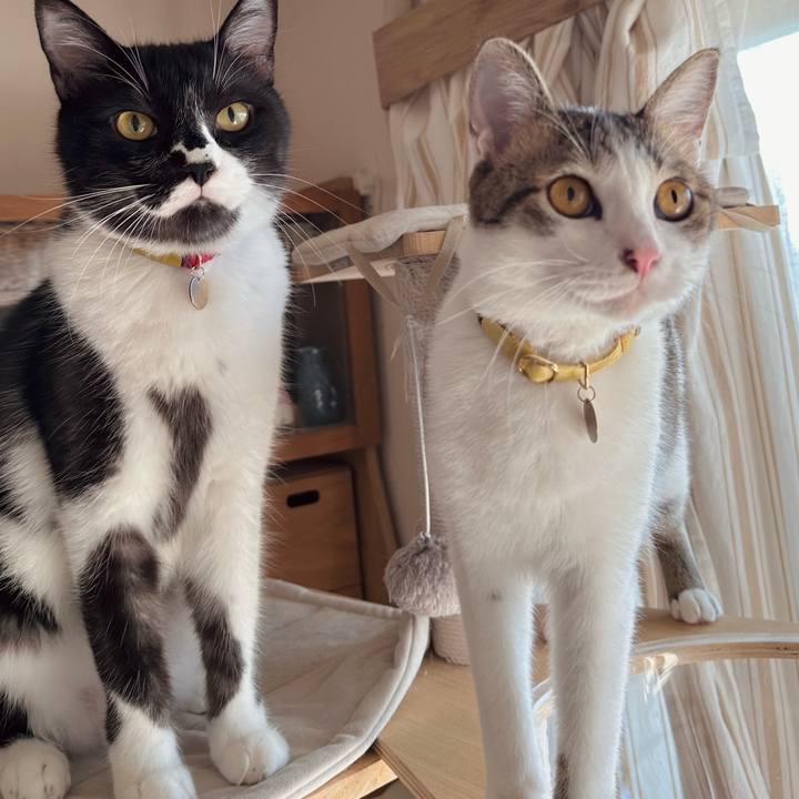 Fd32b877 0a13 45d9 b260 0c90fd82fe99 1759722734545