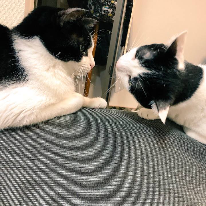 Fd32baa9 d9ba 46de bb3d baeae1cd6e03 1543757636339